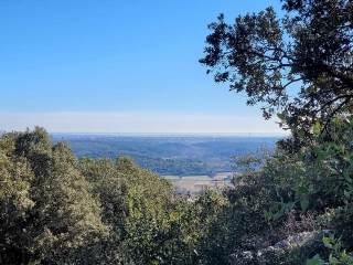 COMBAILLAUX - BOIS DE VALENE-herault