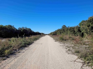 COMBAILLAUX - BOIS DE VALENE-herault