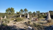 ST MATHIEU DE TEVIERS - FONTANES - STE CROIX DE QUINTILLARGUES-herault