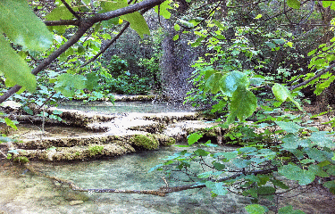 LAURET - BRESTALOU-herault