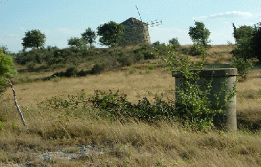 NISSAN-LEZ-ENSERUNE-herault