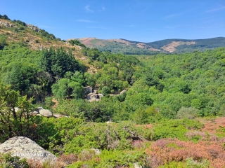 LE SéCADOU DU BOSC DE MADALE-herault