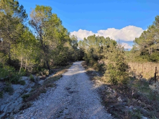 ST BAUZILLE DE MONTMEL_RANDO-AVENTURE-herault