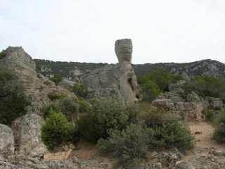 CRETE DES LOUSSES-herault