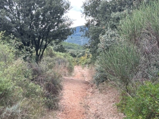 MURVIEL - CALME, PANORAMAS ET 2 ASCENSIONS ABRUPTES-herault