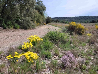 NOTRE-DAME-DE-LONDRES - RANDONNéE AU CALME