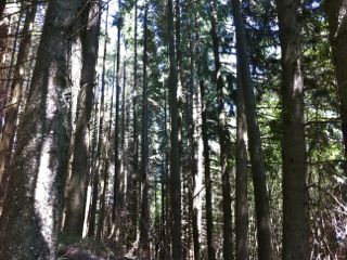 LO CAMIN NOSTRE-herault