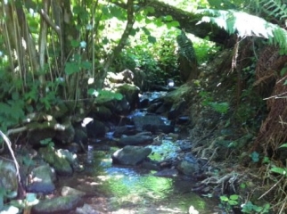 LO CAMIN NOSTRE-herault