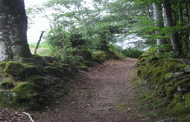 GR653 - PARTIE 2-herault