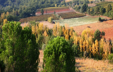 MURVIEL LES BEZIERS-herault