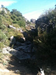 MONT ST BAUDILLE - MONTPEYROUX-herault