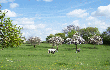 SENTIER MURLES-VAILHAUQUES-herault