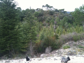 NOTRE DAME DE LIEU PLAISANT -herault