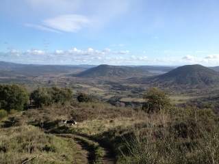 LE CAYROUX - LES RUFFES-herault
