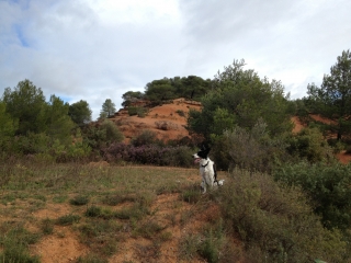CASTELNAU-DE-GUERS (2)-herault