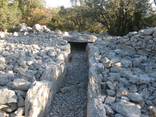 VIOLS-LE-FORT-herault