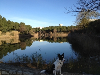 VALLEE DE LA MOSSON-herault