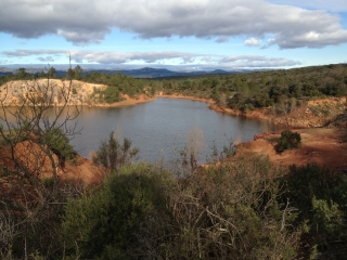 FORET DE LA BOISSIERE-herault