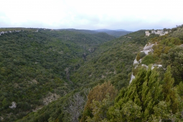 CANYON DE LA CESSE-herault