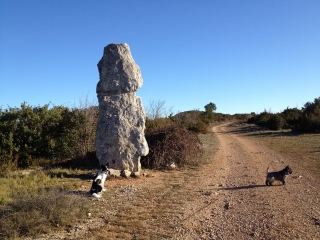 MAS AUBERT - ROC DE LA VIGNE-herault