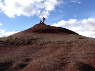 VARIANTE MALAVIEILLE-herault