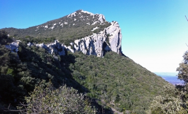 CHATEAU DE MONTFERRAND-herault