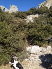 CHATEAU DE MONTFERRAND VARIANTE-herault