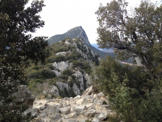 CHATEAU DE MONTFERRAND VARIANTE-herault