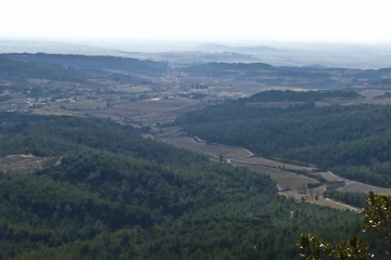 LA PLANETE-FELINES-MINERVOIS-herault