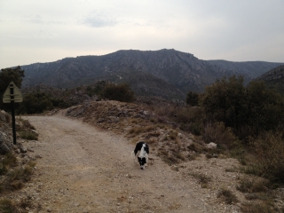 AU PIED DU MONT SAINT-BAUDILLE-herault