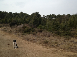 AU PIED DU MONT SAINT-BAUDILLE-herault