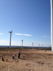 EOLIENNES DE VILLEVEYRAC-herault