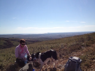 EOLIENNES DE VILLEVEYRAC-herault
