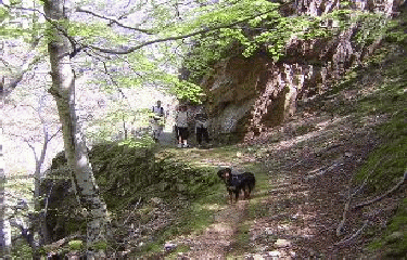 CAMPLONG (2)-herault