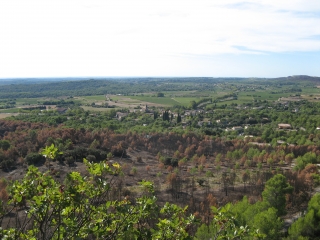 PUECH DE MOURGUES-herault