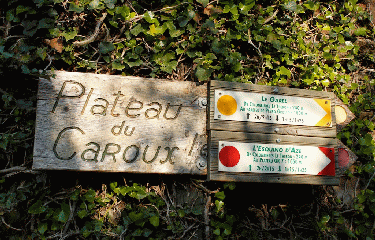PLATEAU DU CAROUX-herault