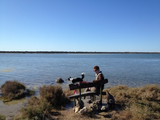 ARESQUIERS  PRES DE FRONTIGNAN-herault