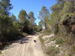 BEL AIR - MONTARNAUD-herault