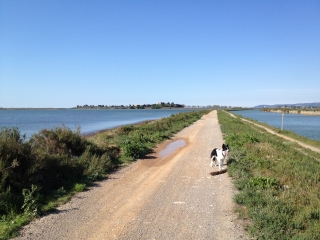 VILLENEUVE LES MAGUELONE - PALAVAS-herault