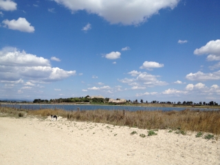VILLENEUVE LES MAGUELONE - PALAVAS-herault