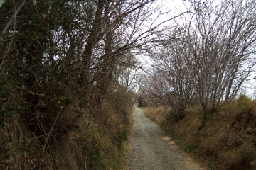 CASTELNAU-DE-GUERS (3)-herault