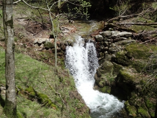 LAC DE L AIRETTE - PONT DU VIALAIS-herault