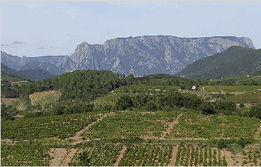 Village de Ceps-herault