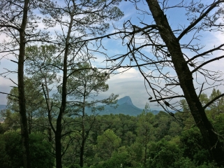 LAC DE CECELES-herault