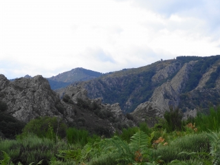 ARET - ROSIS - CAROUX-herault