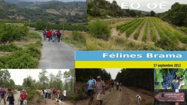 FELINES-MINERVOIS-herault