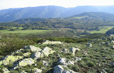ST EUTROPE LES LAUZES-herault