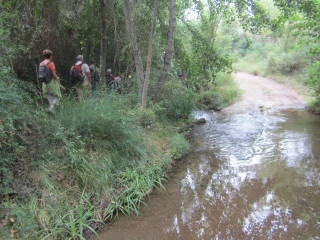 ROUJAN - ABBAYE DE CASSAN-herault