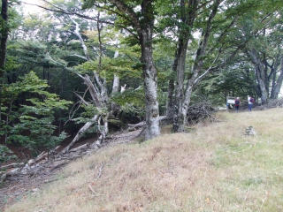 ARETE DE ST EUTROPE (2)-herault