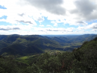 SAINT MARTIN DE L ARCON (2)-herault